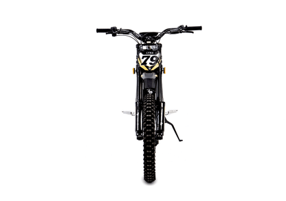 79BIKE Lynx Electric Bike - Buzzify-Dirt Bikes-79BIKE