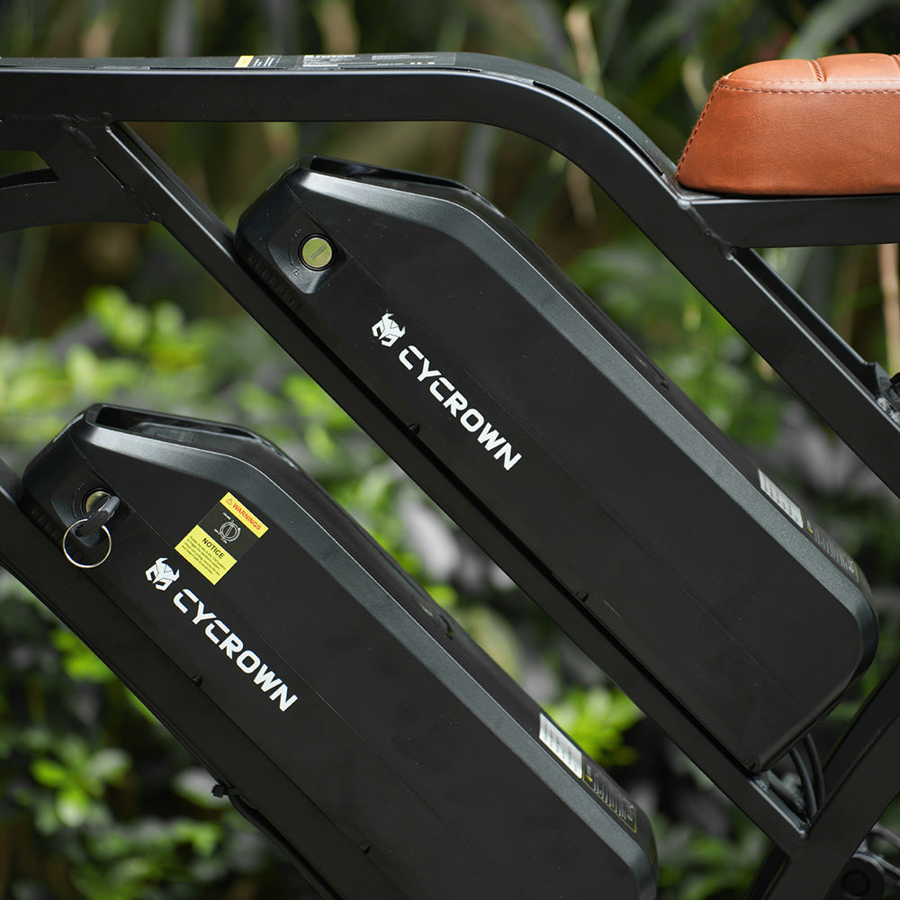Cycrown CycHunter full suspension rear shock