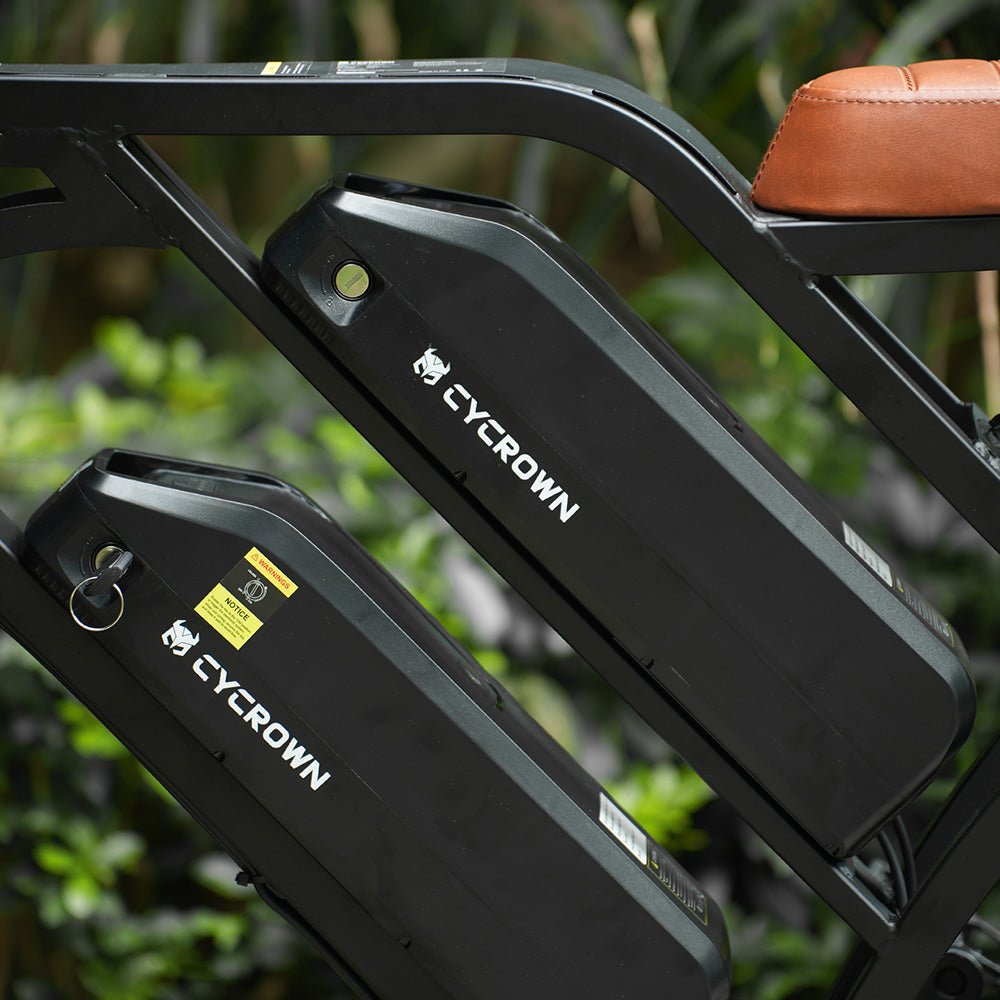 Cycrown CycHunter Moped-Style E-Bike - Buzzify-E-Bikes-Cycrown