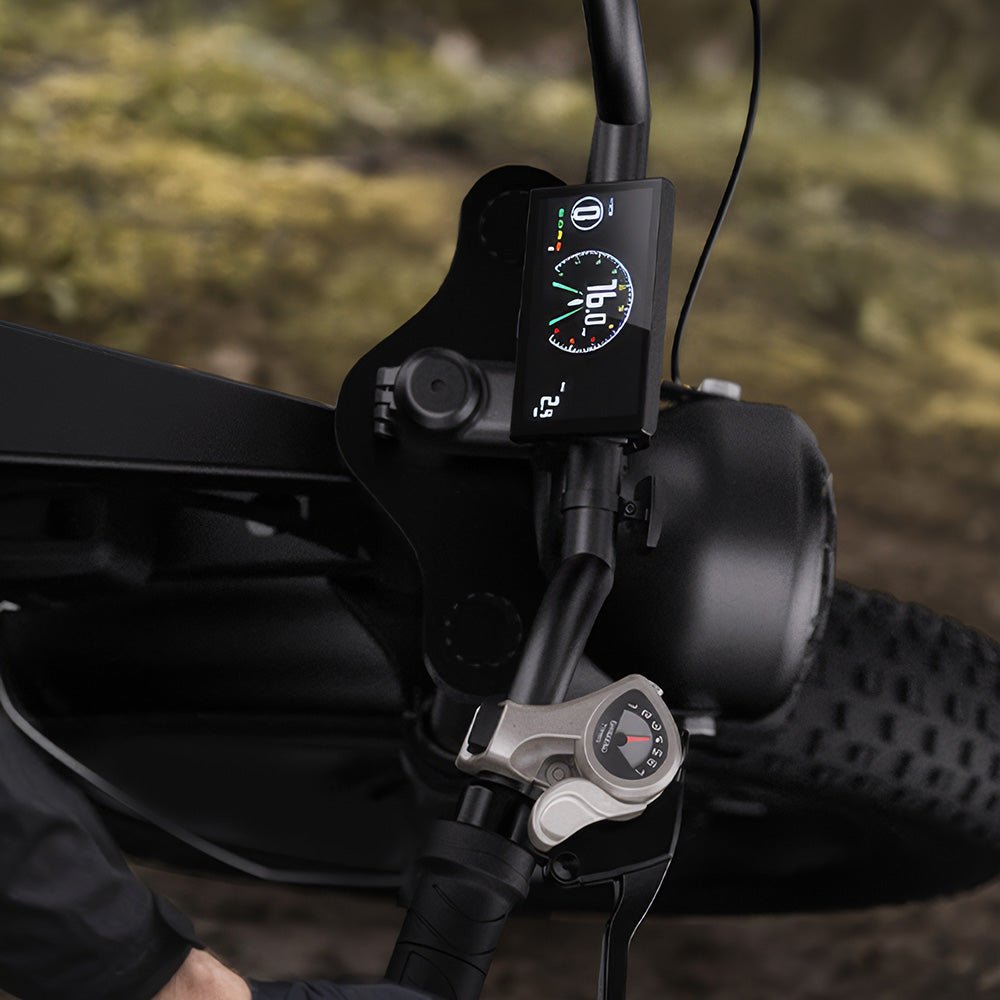Cycrown CycHunter Moped-Style E-Bike - Buzzify-E-Bikes-Cycrown