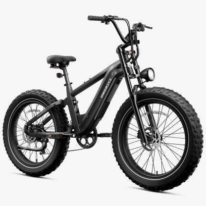 Cycrown Roma All - Terrain Electric Bike - Buzzify - E - Bikes - Cycrown