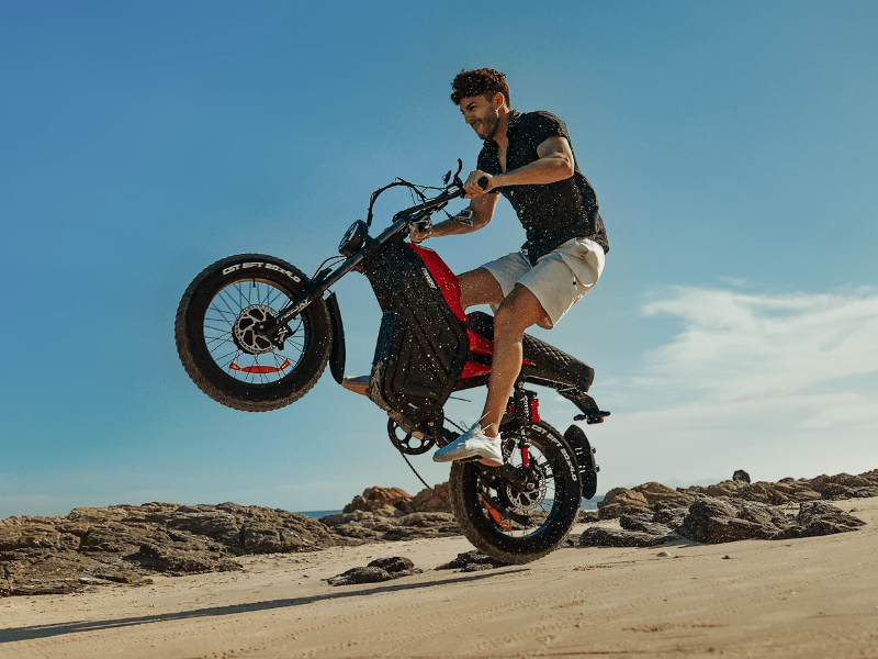 Freesky Cheetah MT - 380 Electric Bike - Buzzify - E - Bikes - Freesky