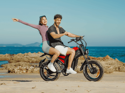 Freesky Cheetah MT - 380 Electric Bike - Buzzify - E - Bikes - Freesky