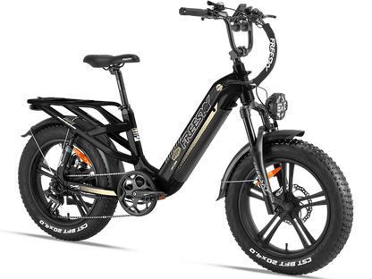 Freesky Rocky Pro 25Ah - Buzzify - E - Bikes - buzzifyebikes