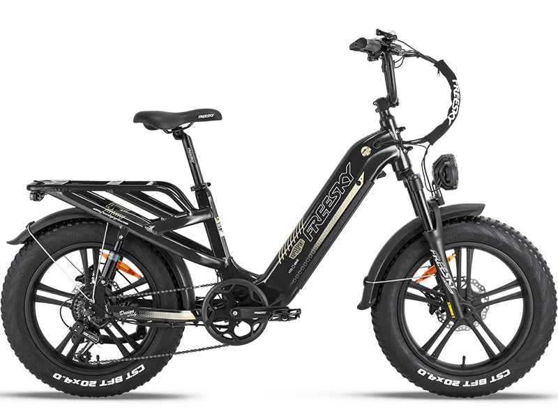 Freesky Rocky Pro 25Ah - Buzzify - E - Bikes - buzzifyebikes