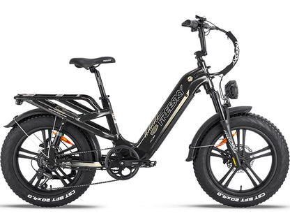 Freesky Rocky Pro 25Ah - Buzzify - E - Bikes - buzzifyebikes