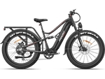 Freesky Swift Horse Pro Electric Bike - Buzzify - E - Bikes - Freesky