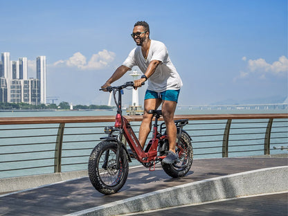 Heybike Ranger 3.0 Pro - Buzzify-Electric Bike-Heybike