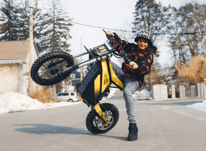 Heybike Villain - Buzzify-Electric Dirt Bike-Heybike