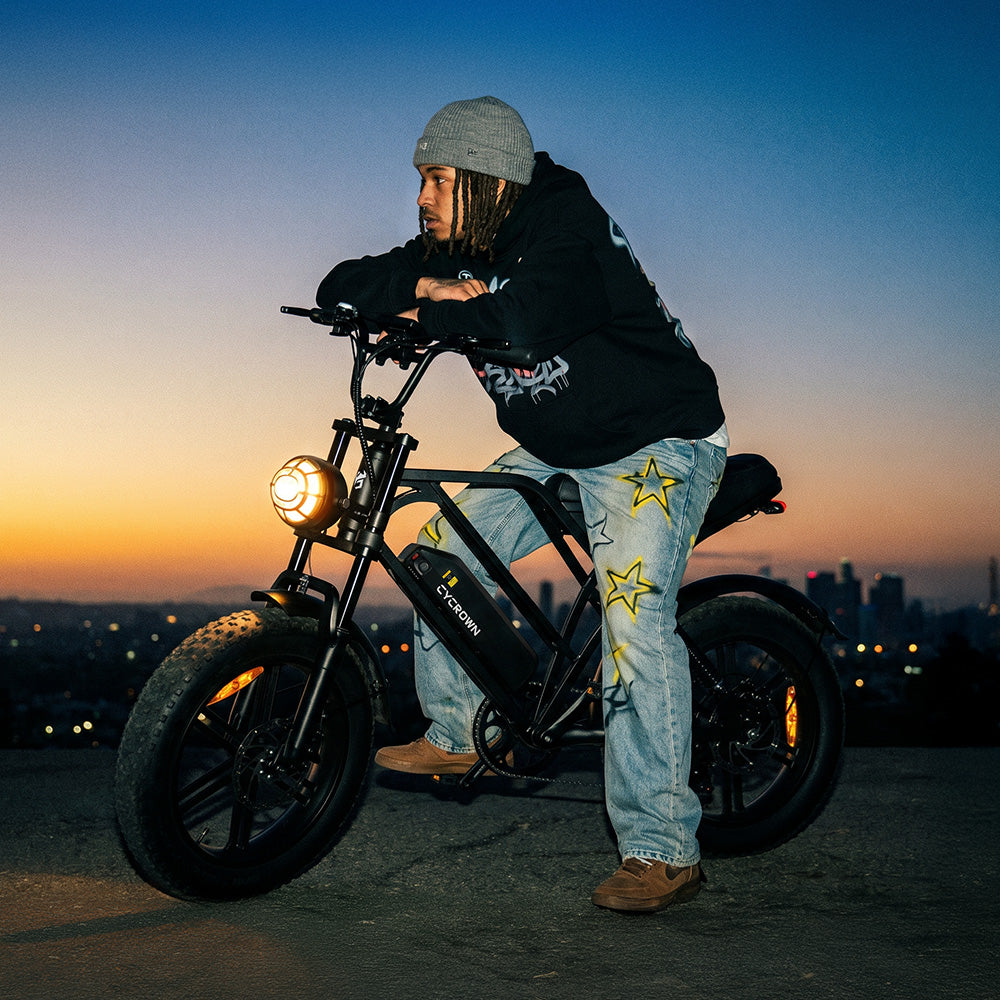 Cycrown CycHunter electric bike profile
