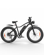 Isinwheel M10 Commuter Electric Bike - Buzzify - E - Bikes - Isinwheel