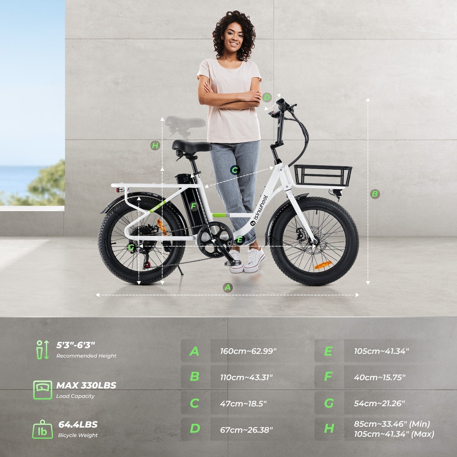 isinwheel U7 1000W Cargo Electric Bike - Buzzify-Electric Bike-isinwheel