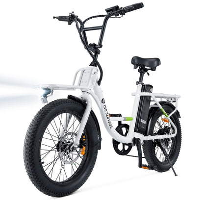 isinwheel U7 1000W Cargo Electric Bike - Buzzify-Electric Bike-isinwheel
