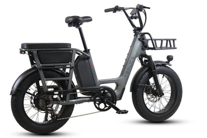 Teslica Care - Go Cargo CG2 Electric Bike - Buzzify - E - Bikes - buzzifyebikes