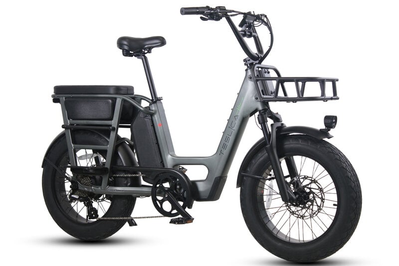 Teslica Care - Go Cargo CG2 Electric Bike - Buzzify - E - Bikes - buzzifyebikes
