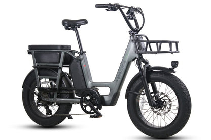 Teslica Care - Go Cargo CG2 Electric Bike - Buzzify - E - Bikes - buzzifyebikes