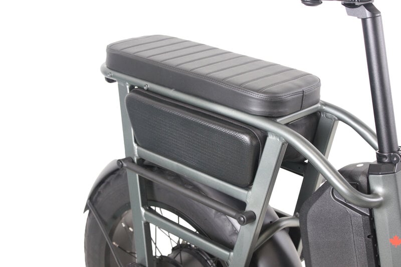 Teslica Care - Go Cargo CG2 Electric Bike - Buzzify - E - Bikes - buzzifyebikes