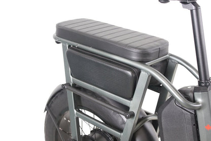 Teslica Care - Go Cargo CG2 Electric Bike - Buzzify - E - Bikes - buzzifyebikes