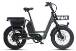 Teslica Care - Go Cargo CG2 Electric Bike - Buzzify - E - Bikes - buzzifyebikes