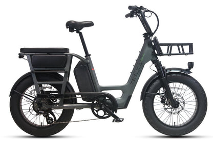 Teslica Care - Go Cargo CG2 Electric Bike - Buzzify - E - Bikes - buzzifyebikes