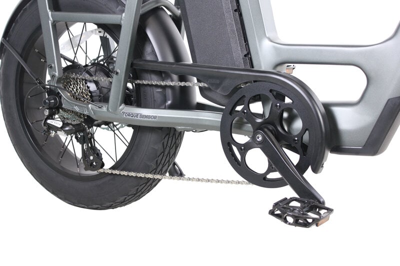 Teslica Care - Go Cargo CG2 Electric Bike - Buzzify - E - Bikes - buzzifyebikes