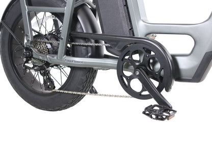 Teslica Care - Go Cargo CG2 Electric Bike - Buzzify - E - Bikes - buzzifyebikes