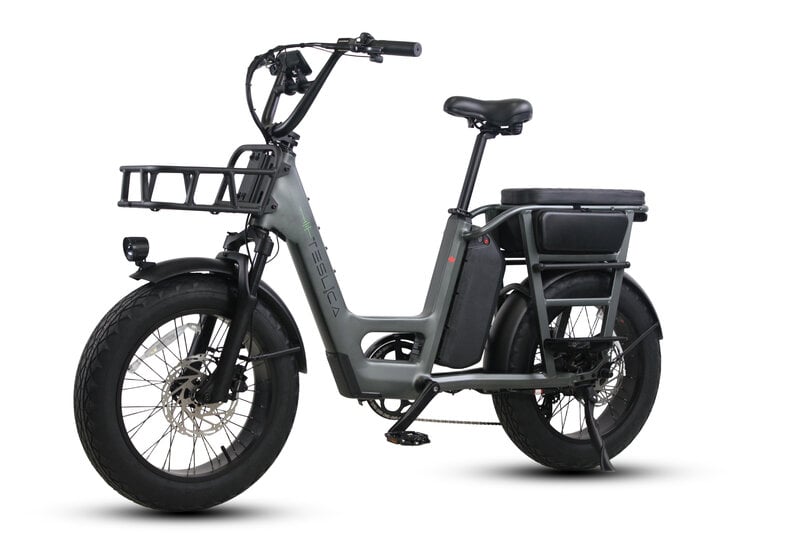 Teslica Care - Go Cargo CG2 Electric Bike - Buzzify - E - Bikes - buzzifyebikes