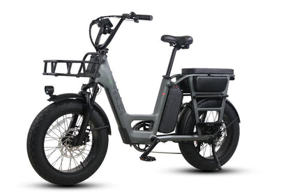 Teslica Care - Go Cargo CG2 Electric Bike - Buzzify - E - Bikes - buzzifyebikes