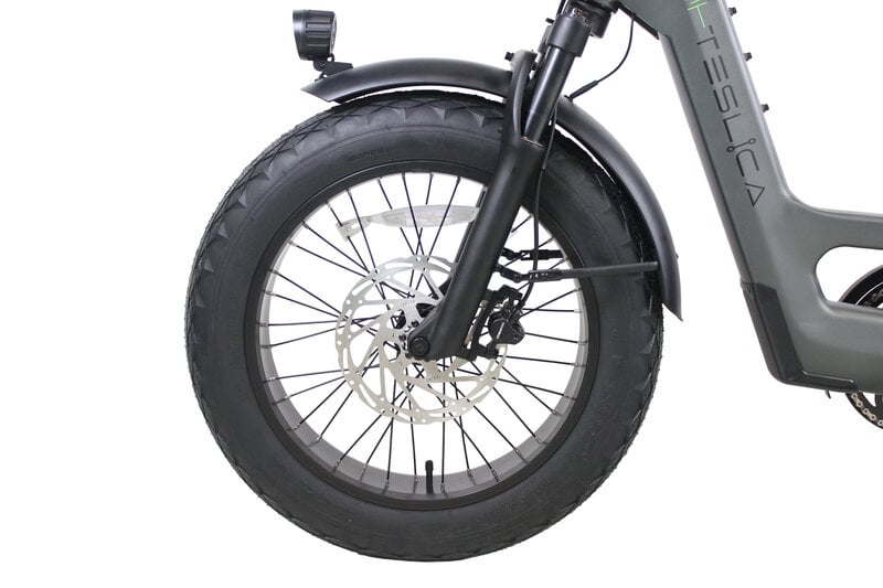 Teslica Care - Go Cargo CG2 Electric Bike - Buzzify - E - Bikes - buzzifyebikes