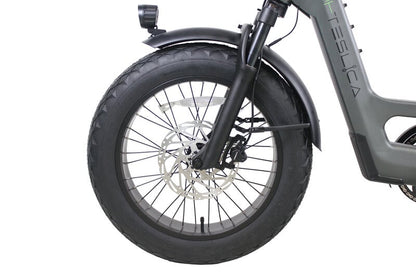 Teslica Care - Go Cargo CG2 Electric Bike - Buzzify - E - Bikes - buzzifyebikes