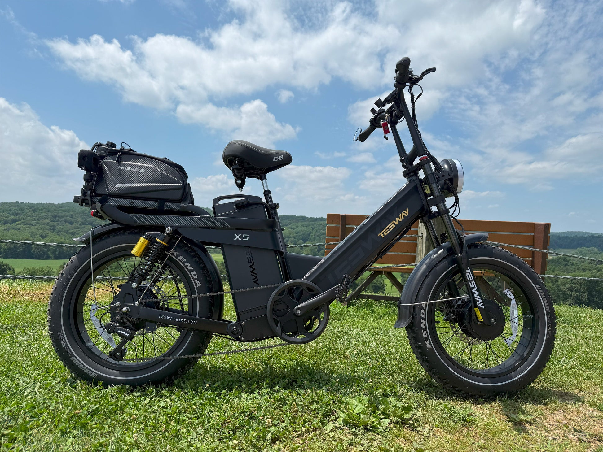 Tesway X5 AWD Dual - Motor Step Thru Electric Bike - Buzzify - E - Bikes - Tesway