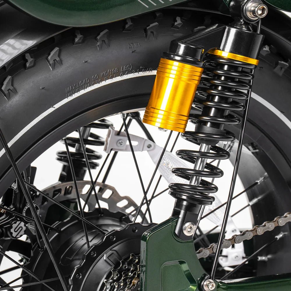 Tesway X5 AWD Dual - Motor Step Thru Electric Bike - Buzzify - E - Bikes - Tesway