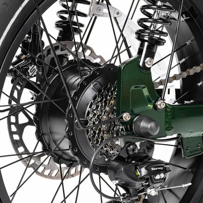 Tesway X5 AWD Dual - Motor Step Thru Electric Bike - Buzzify - E - Bikes - Tesway