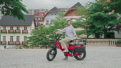 Tesway X5 Pro - Buzzify - E - Bikes - Tesway
