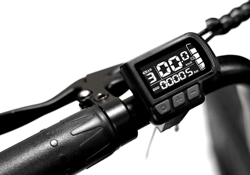Throne Big Boy - Buzzify-Electric Fat Bikes-Throne Cycles