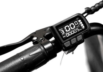 Throne Big Boy - Buzzify-Electric Fat Bikes-Throne Cycles